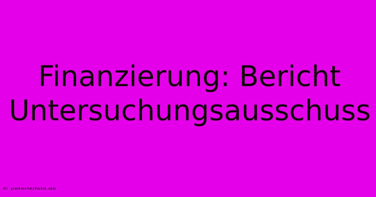 Finanzierung: Bericht Untersuchungsausschuss