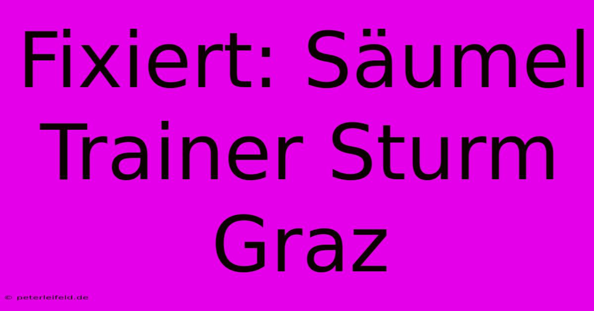 Fixiert: Säumel Trainer Sturm Graz