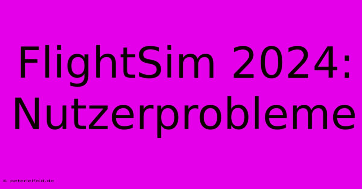 FlightSim 2024: Nutzerprobleme