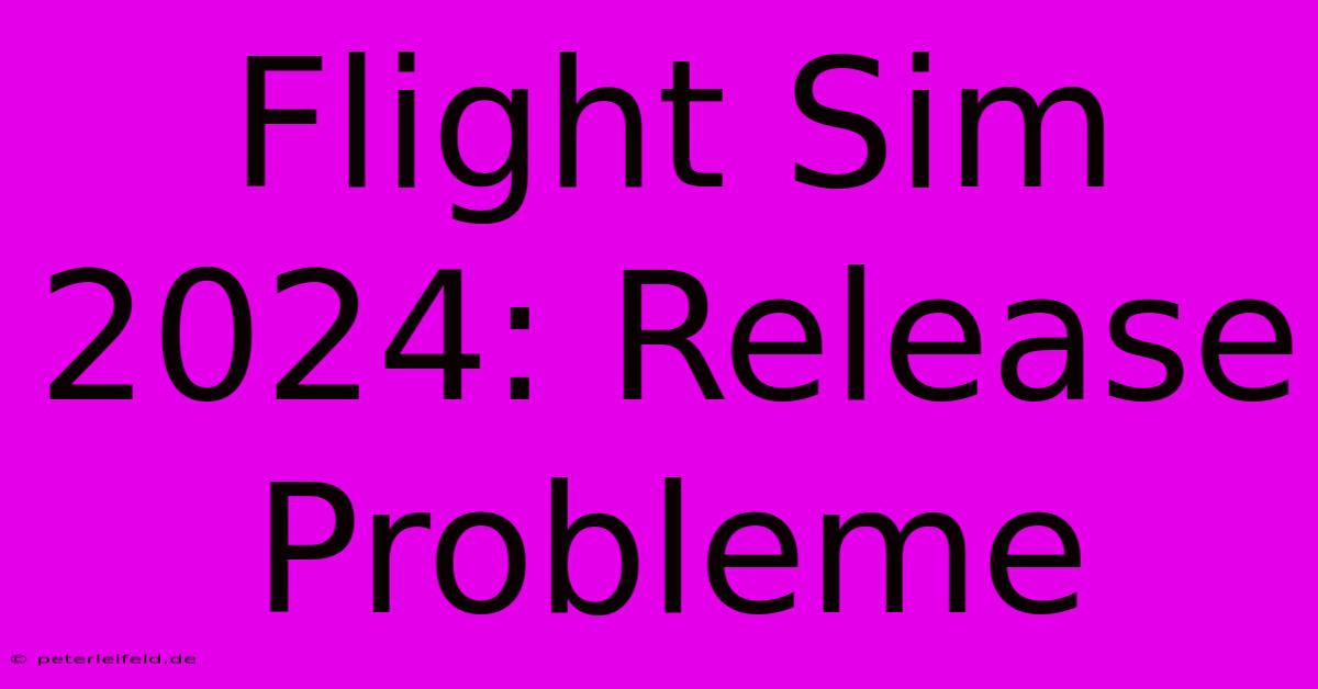 Flight Sim 2024: Release Probleme