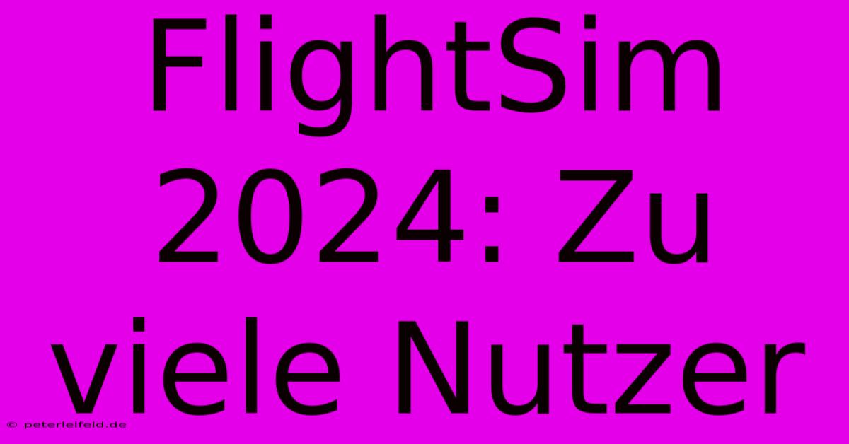 FlightSim 2024: Zu Viele Nutzer