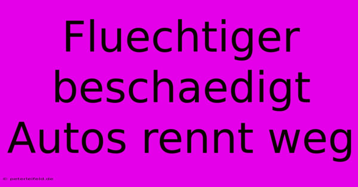 Fluechtiger Beschaedigt Autos Rennt Weg