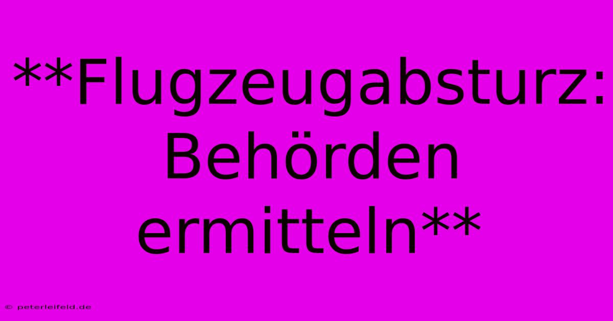 **Flugzeugabsturz: Behörden Ermitteln**