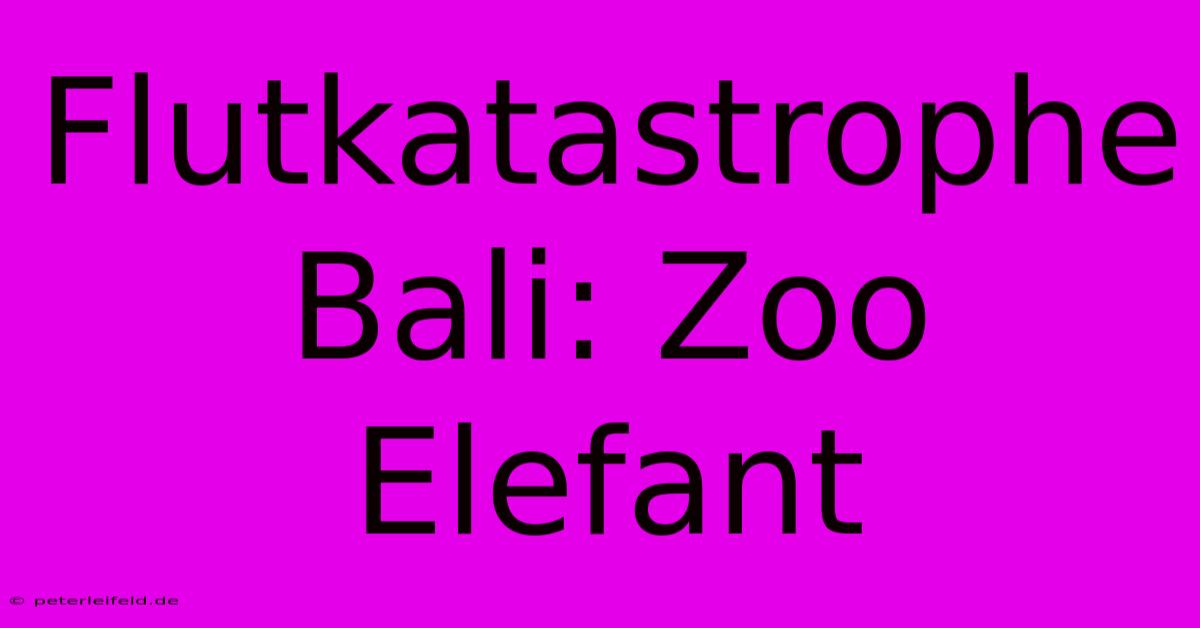 Flutkatastrophe Bali: Zoo Elefant