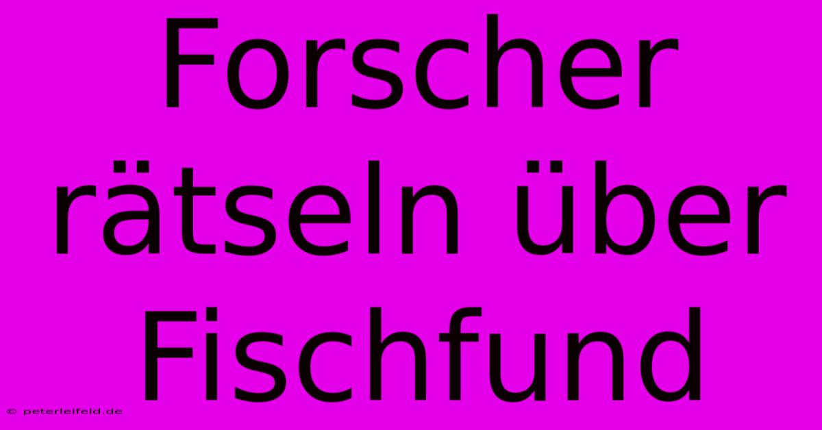 Forscher Rätseln Über Fischfund