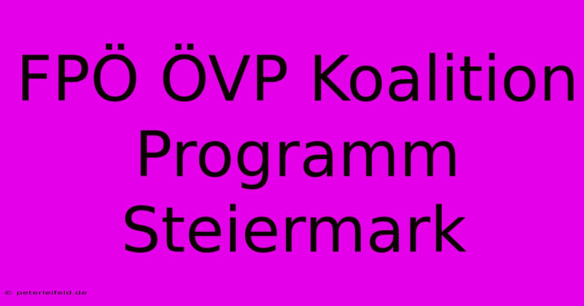 FPÖ ÖVP Koalition Programm Steiermark