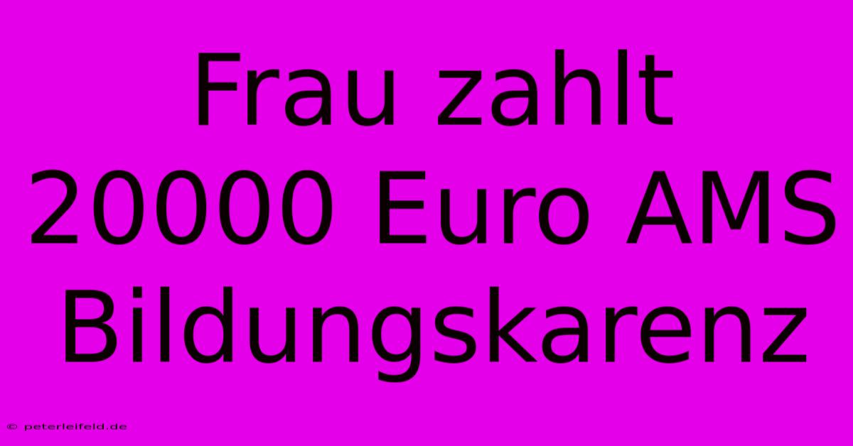 Frau Zahlt 20000 Euro AMS Bildungskarenz