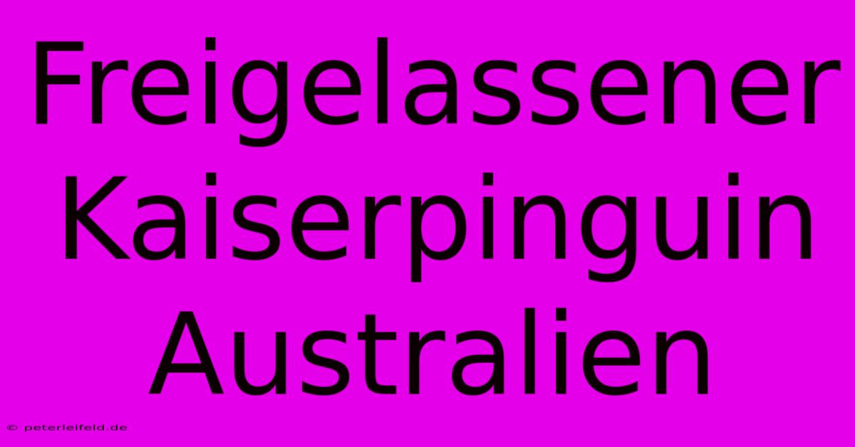 Freigelassener Kaiserpinguin Australien