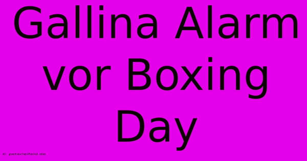 Gallina Alarm Vor Boxing Day