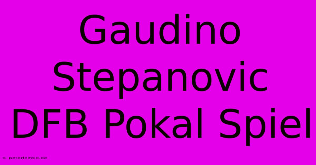 Gaudino Stepanovic DFB Pokal Spiel