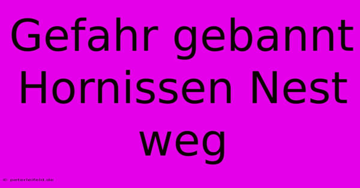 Gefahr Gebannt Hornissen Nest Weg