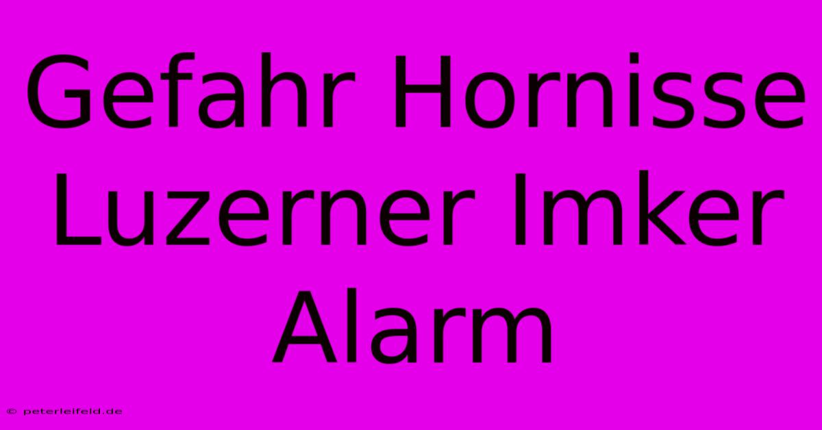 Gefahr Hornisse Luzerner Imker Alarm