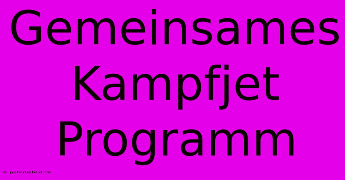 Gemeinsames Kampfjet Programm