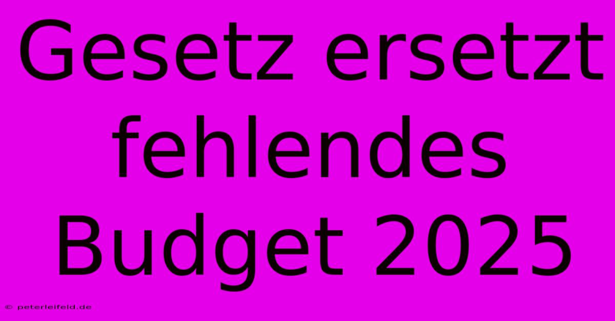 Gesetz Ersetzt Fehlendes Budget 2025