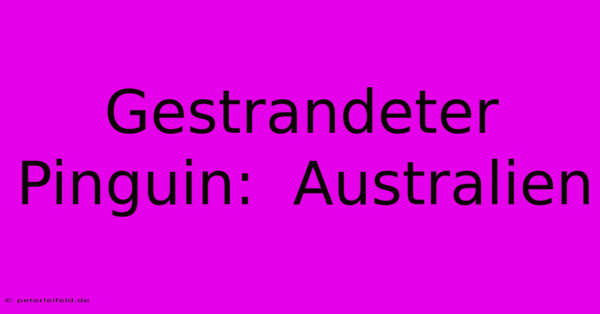 Gestrandeter Pinguin:  Australien