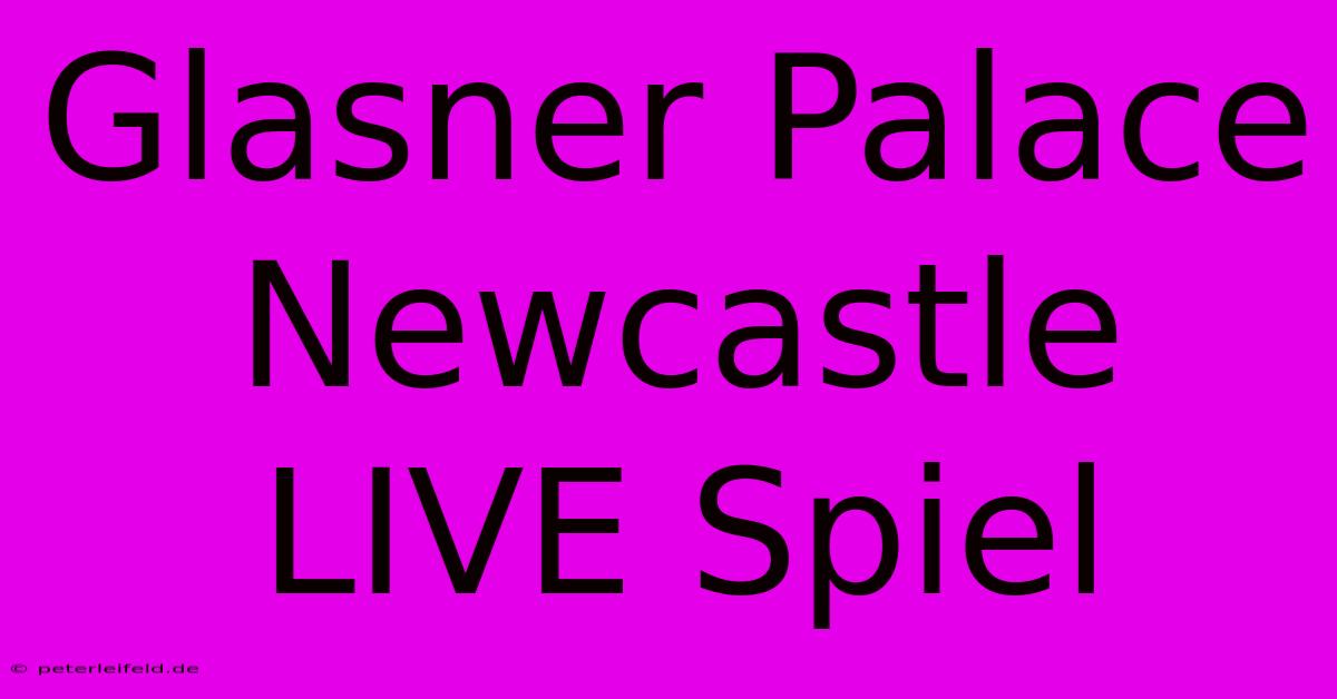 Glasner Palace Newcastle LIVE Spiel