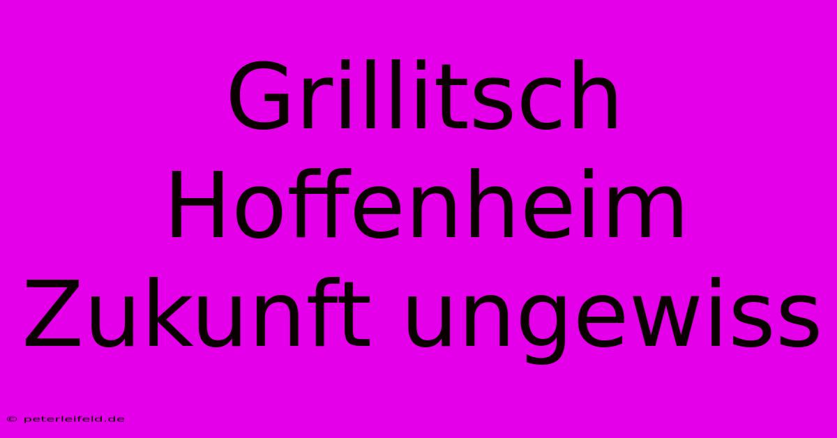 Grillitsch Hoffenheim Zukunft Ungewiss