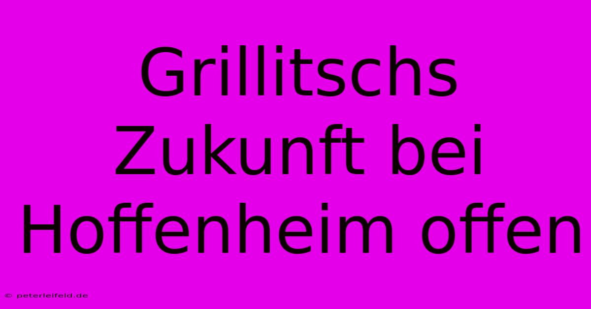 Grillitschs Zukunft Bei Hoffenheim Offen