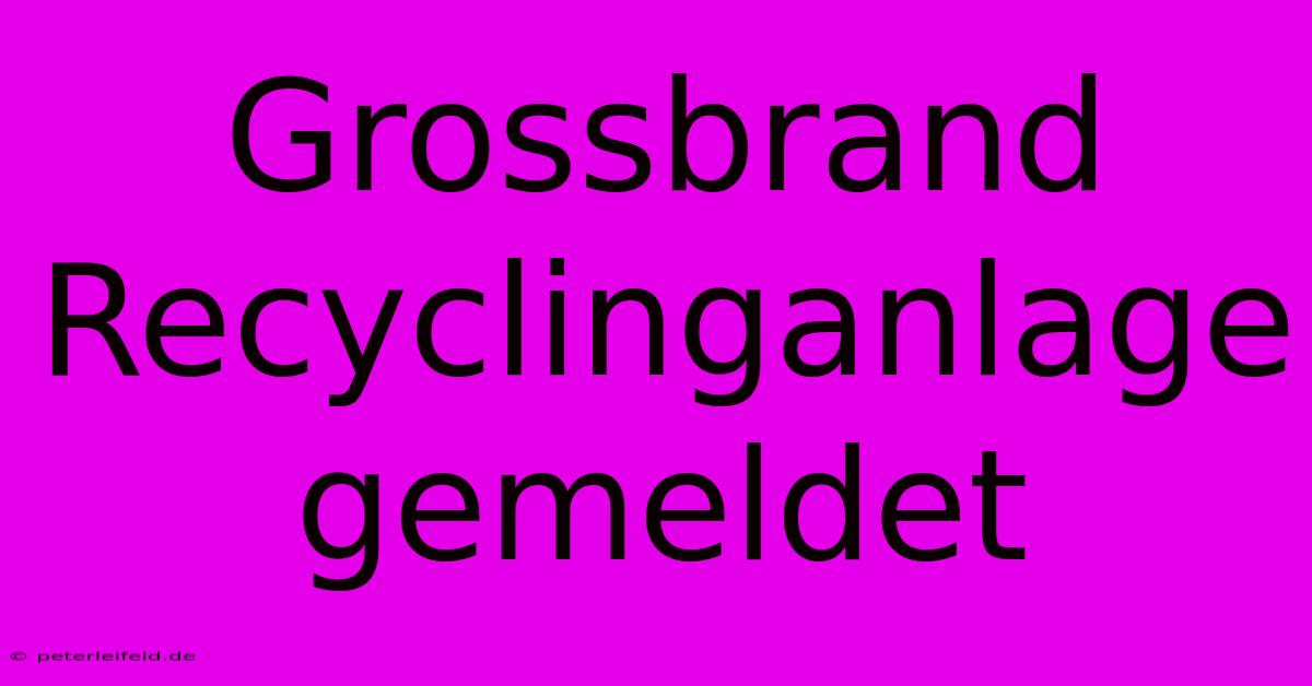 Grossbrand Recyclinganlage Gemeldet