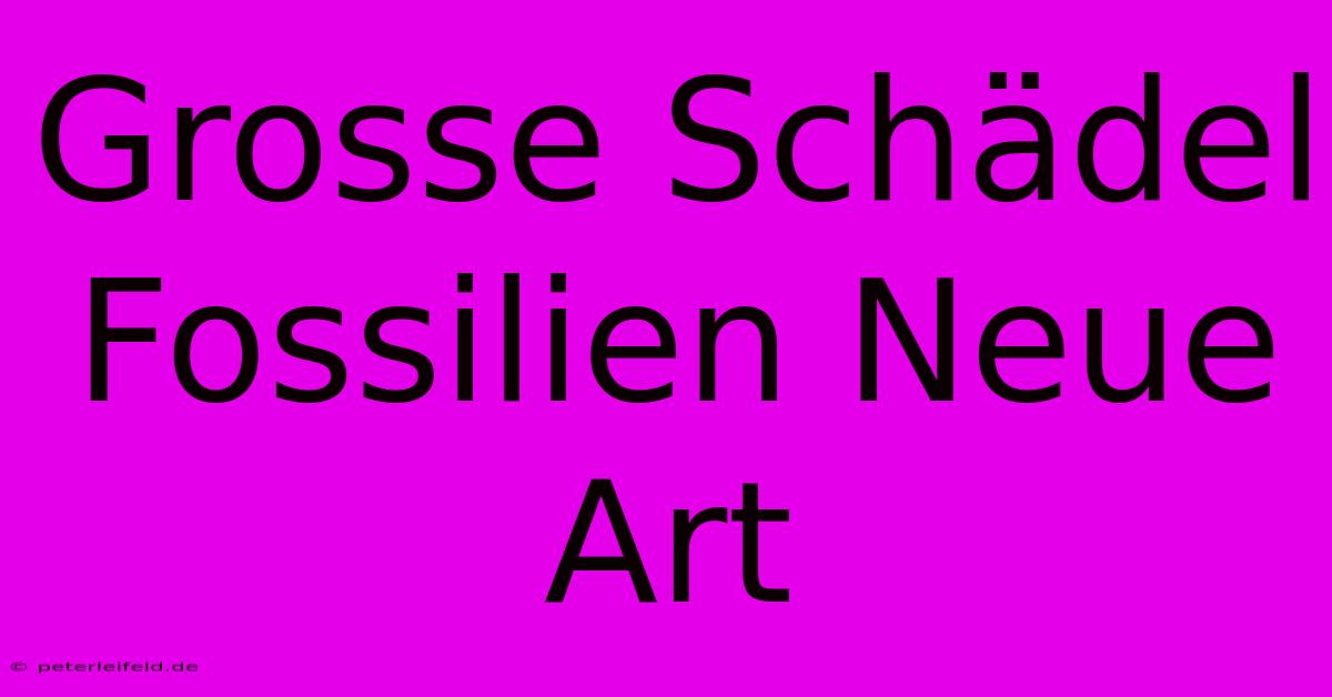 Grosse Schädel Fossilien Neue Art