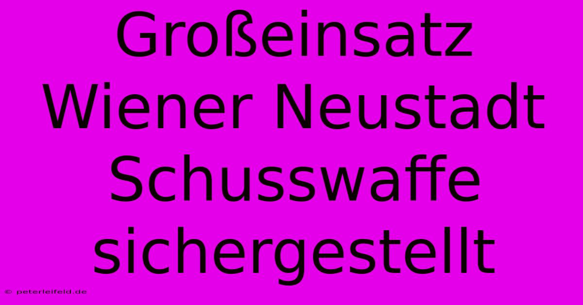 Großeinsatz Wiener Neustadt Schusswaffe Sichergestellt