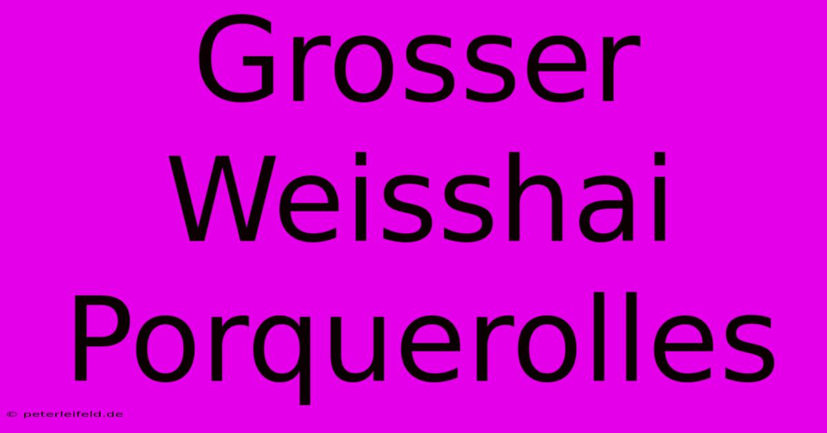 Grosser Weisshai Porquerolles