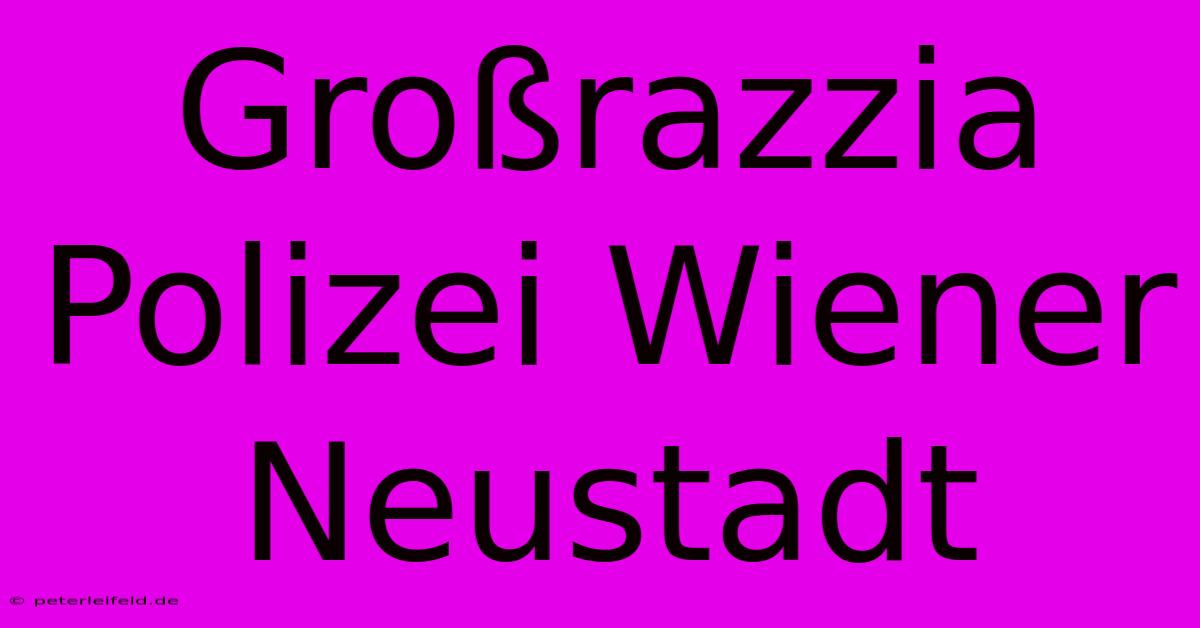 Großrazzia Polizei Wiener Neustadt