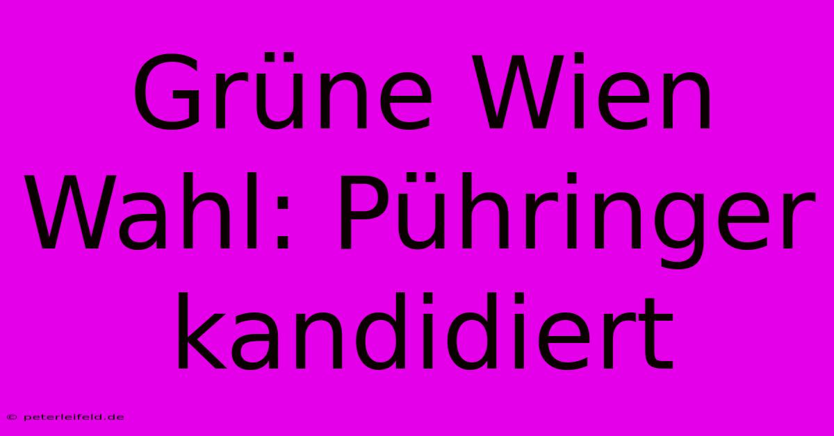 Grüne Wien Wahl: Pühringer Kandidiert