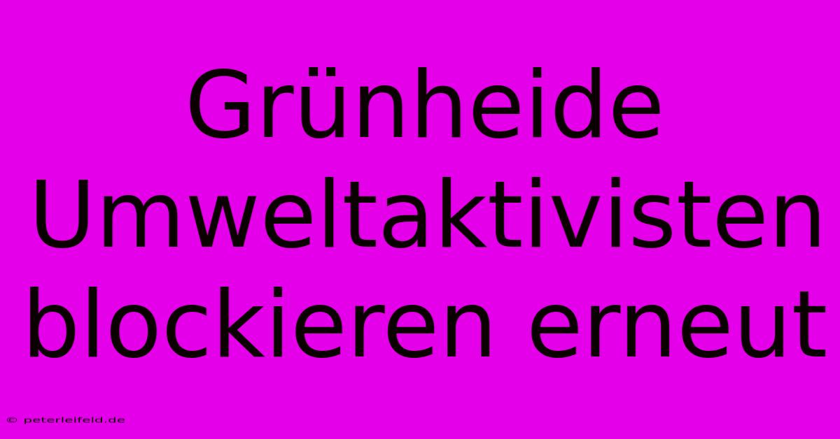 Grünheide Umweltaktivisten Blockieren Erneut