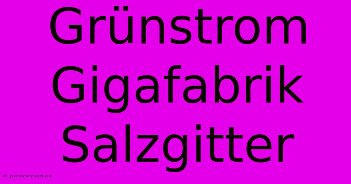 Grünstrom Gigafabrik Salzgitter