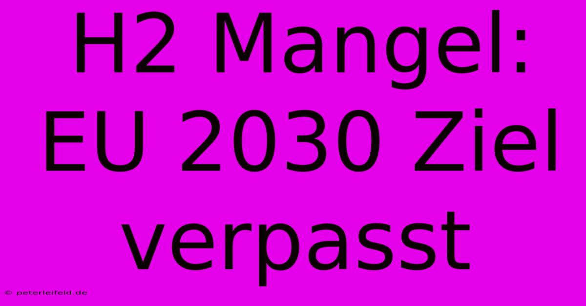 H2 Mangel: EU 2030 Ziel Verpasst