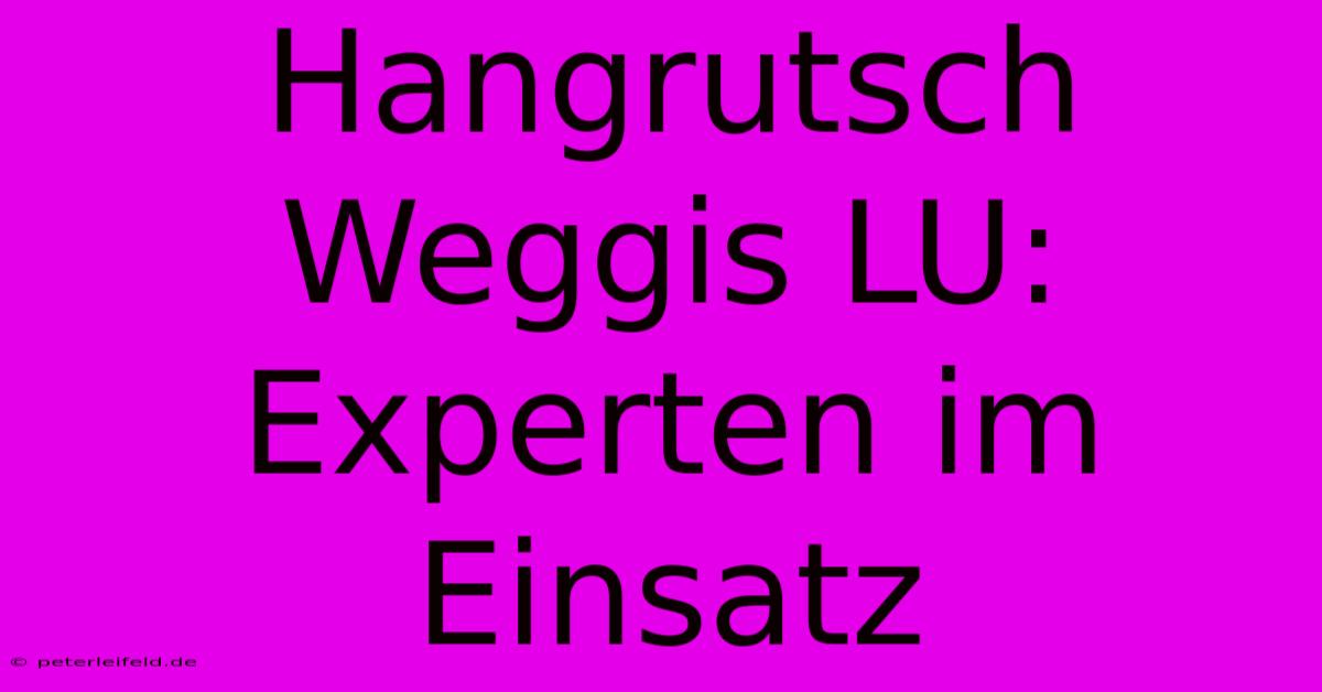 Hangrutsch Weggis LU: Experten Im Einsatz