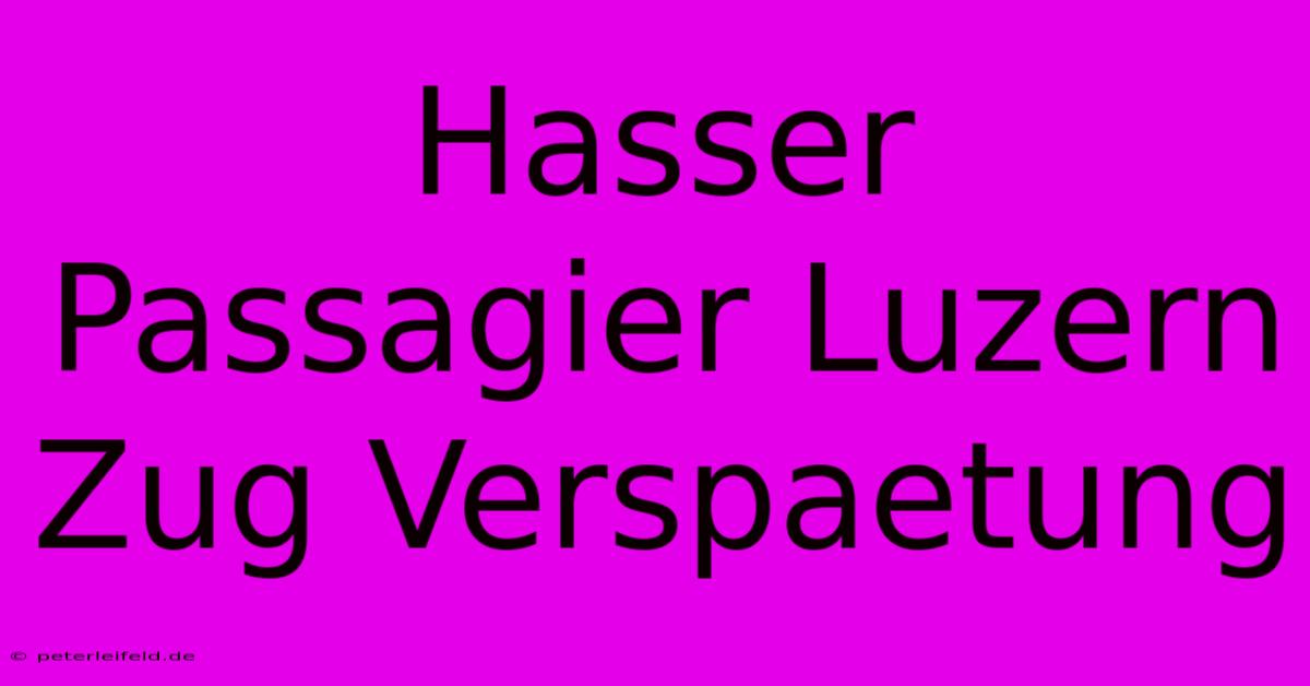 Hasser Passagier Luzern Zug Verspaetung