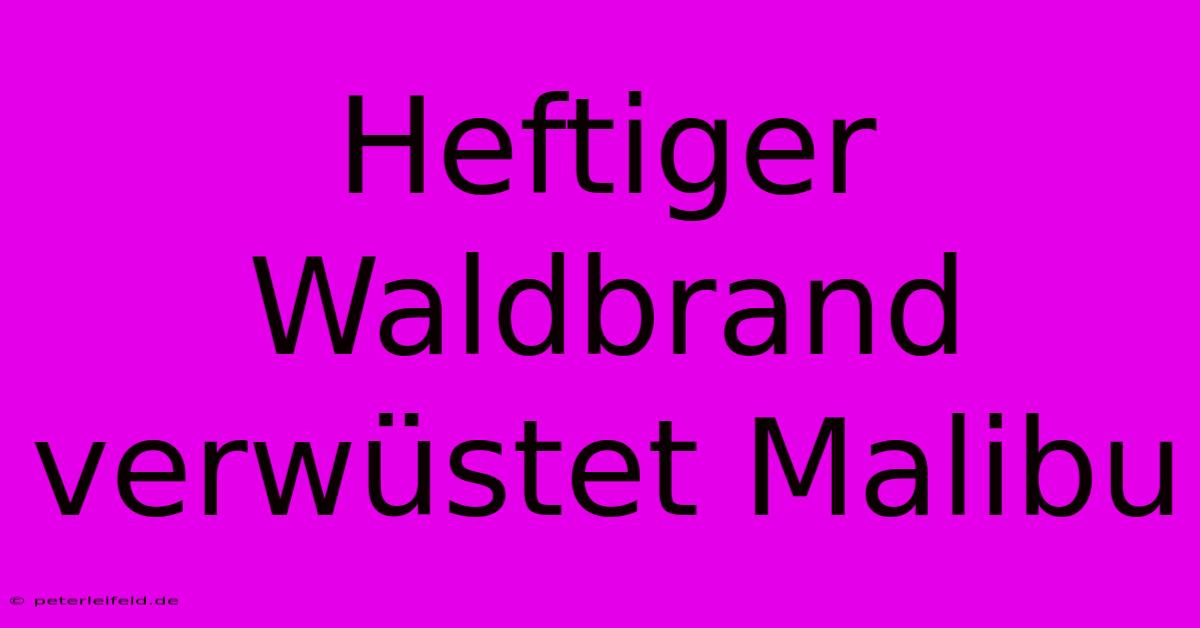 Heftiger Waldbrand Verwüstet Malibu