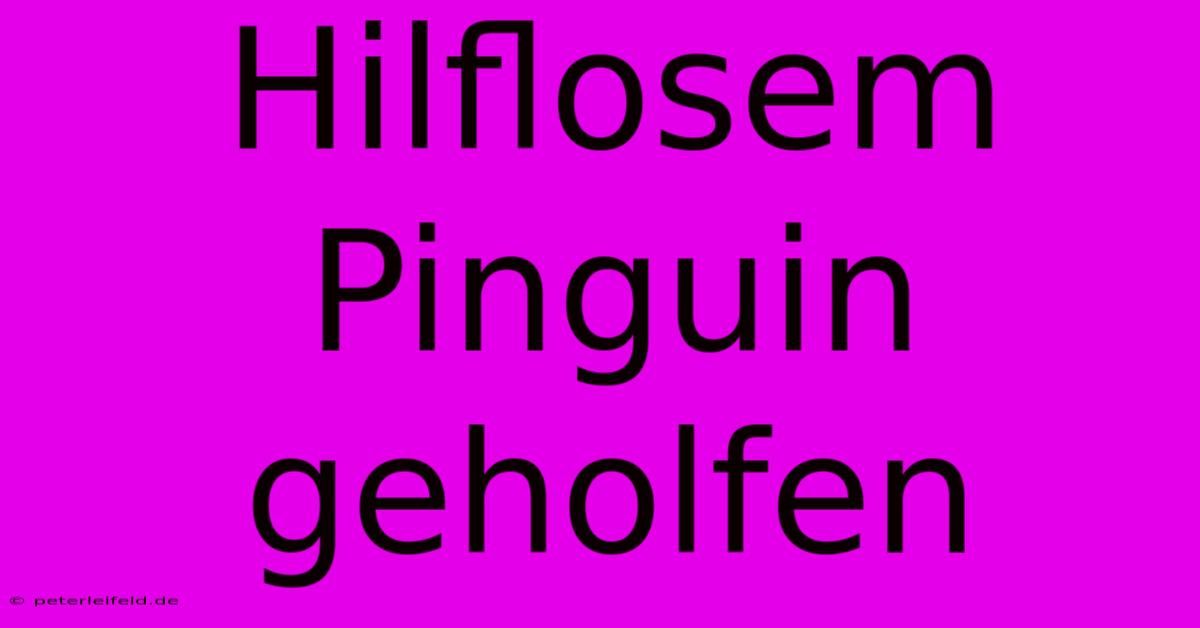 Hilflosem Pinguin Geholfen