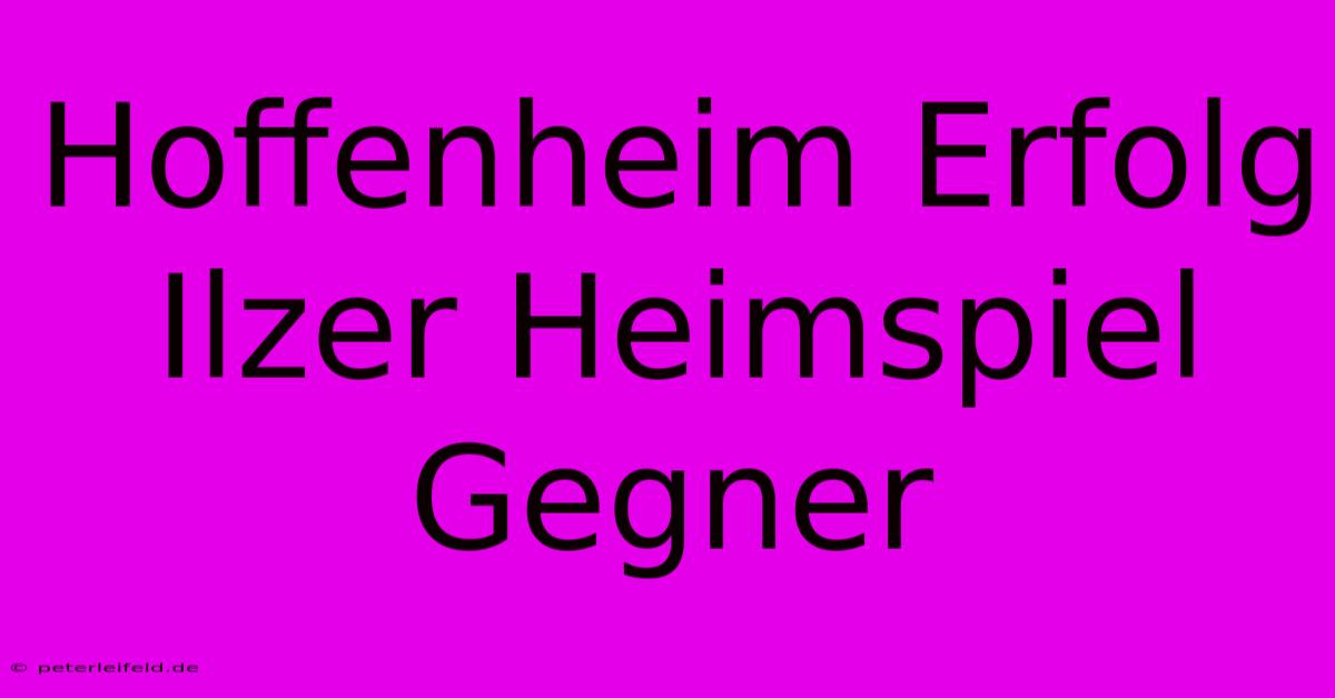 Hoffenheim Erfolg Ilzer Heimspiel Gegner