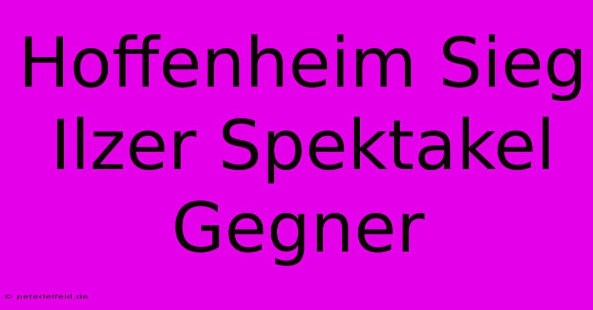 Hoffenheim Sieg Ilzer Spektakel Gegner