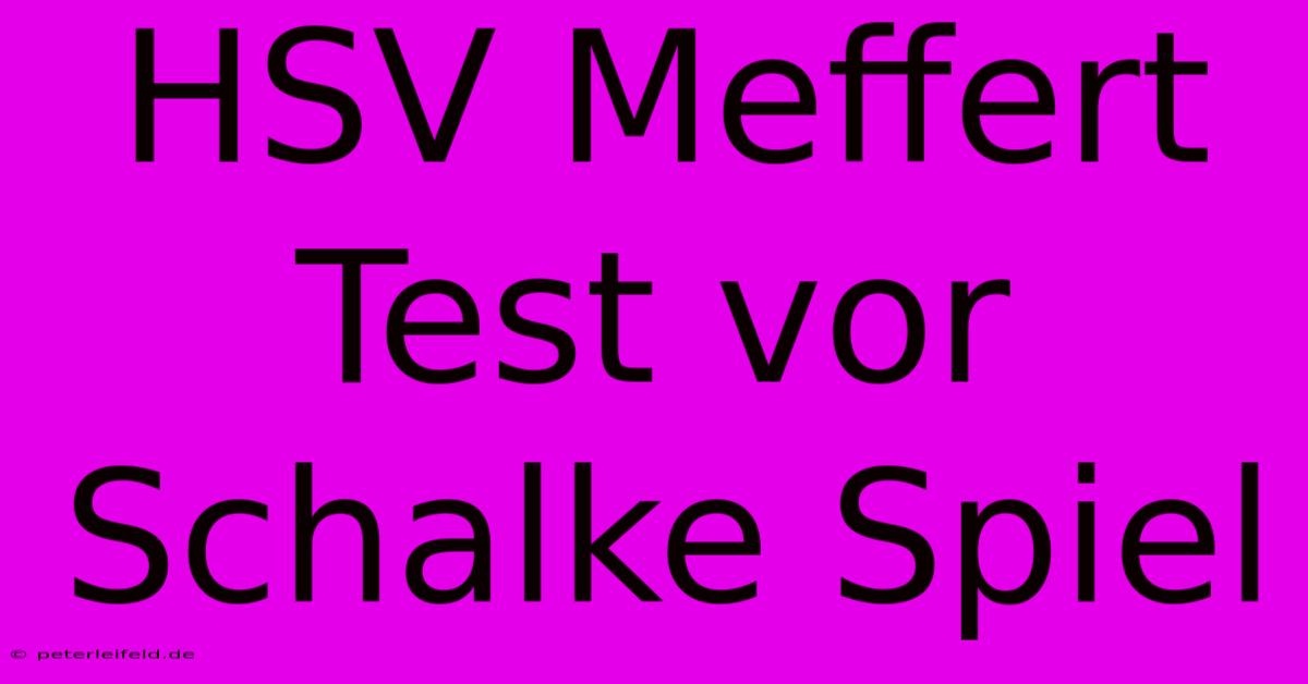 HSV Meffert Test Vor Schalke Spiel