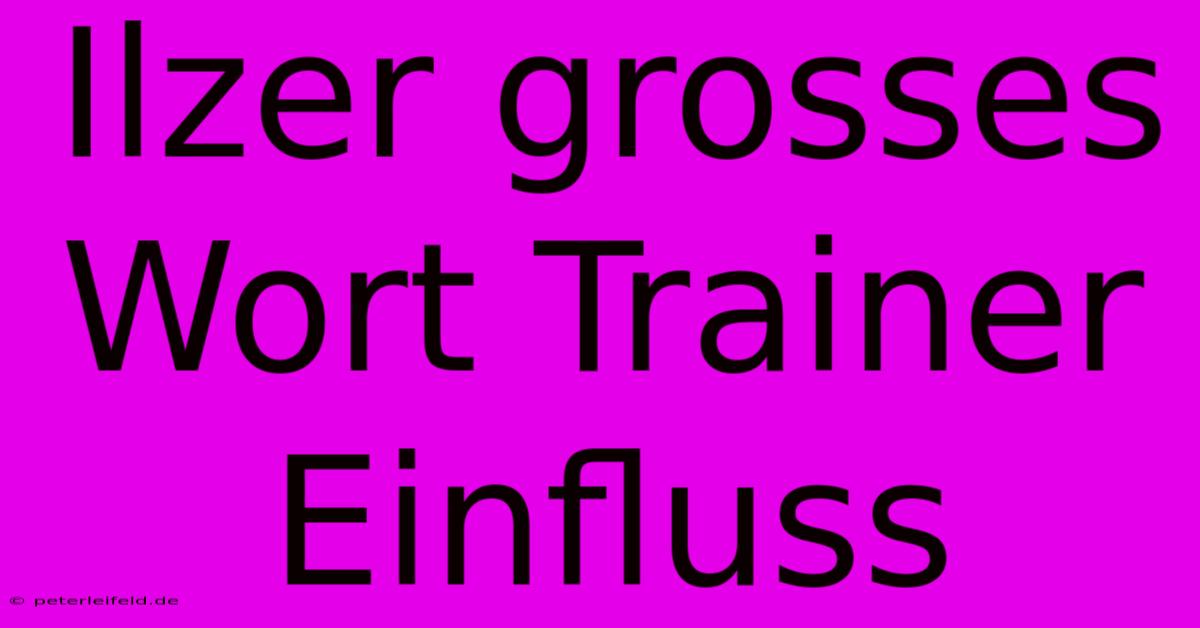 Ilzer Grosses Wort Trainer Einfluss