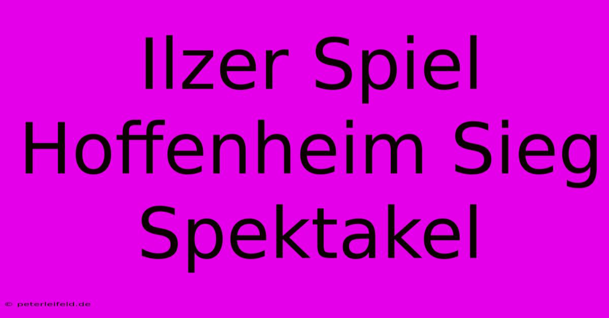 Ilzer Spiel Hoffenheim Sieg Spektakel