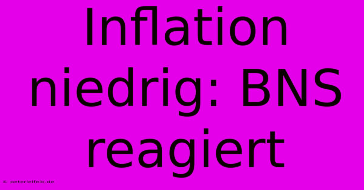 Inflation Niedrig: BNS Reagiert