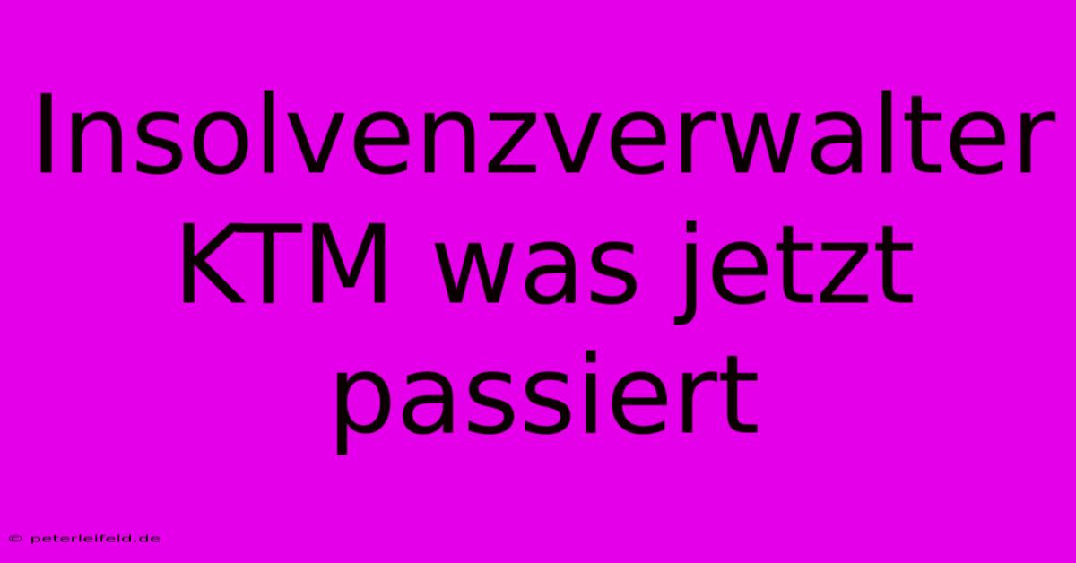 Insolvenzverwalter KTM Was Jetzt Passiert