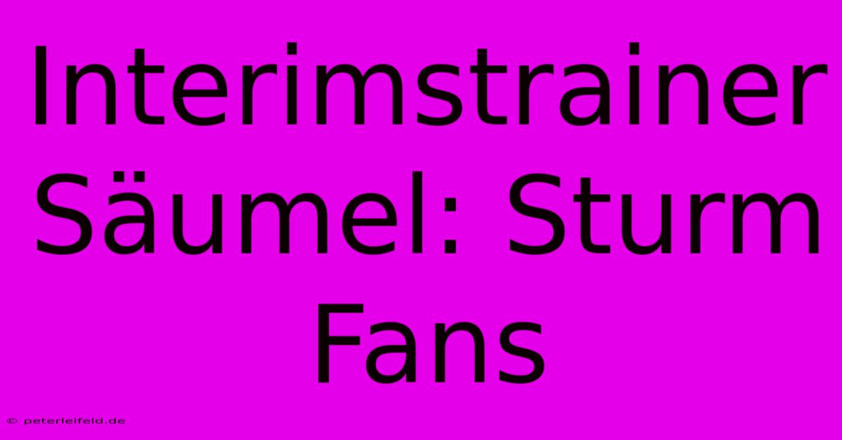 Interimstrainer Säumel: Sturm Fans