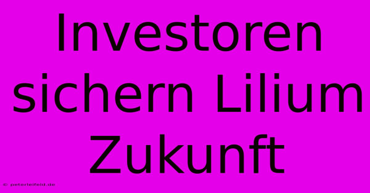 Investoren Sichern Lilium Zukunft