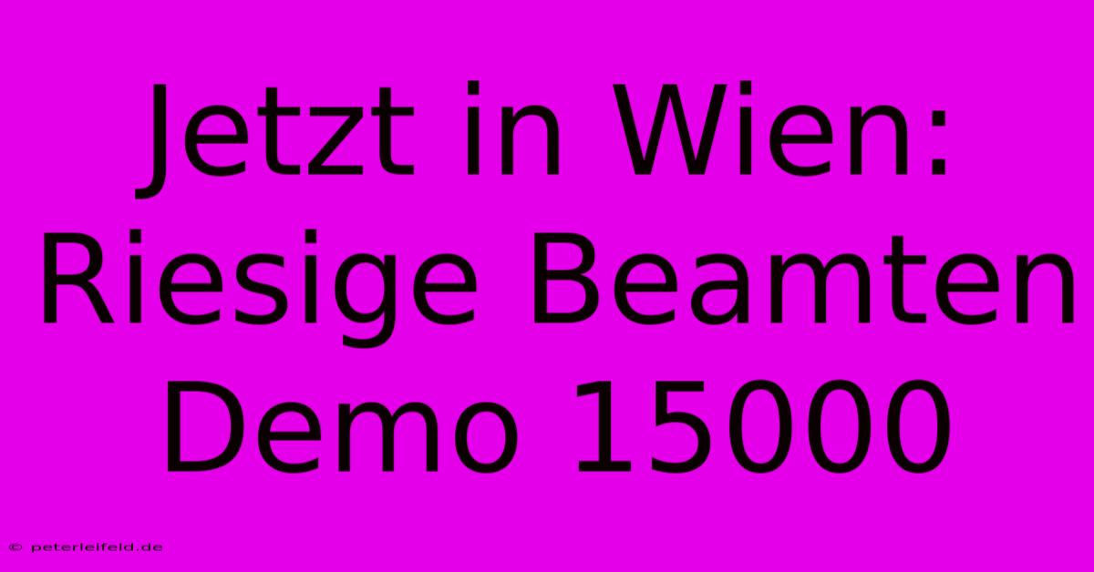 Jetzt In Wien: Riesige Beamten Demo 15000