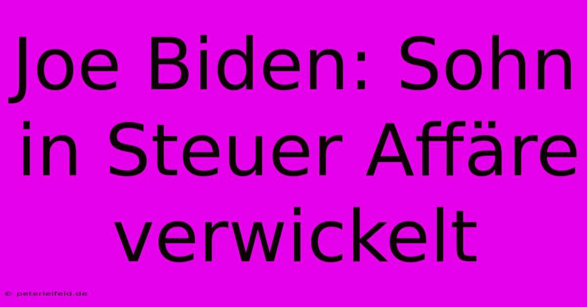 Joe Biden: Sohn In Steuer Affäre Verwickelt