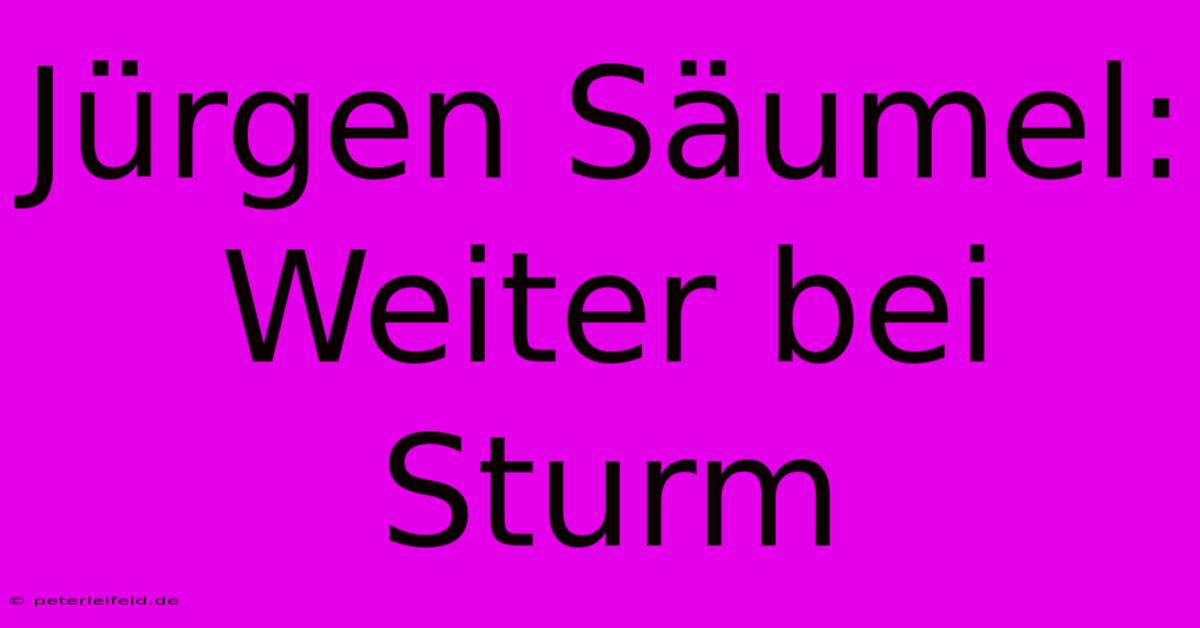 Jürgen Säumel: Weiter Bei Sturm