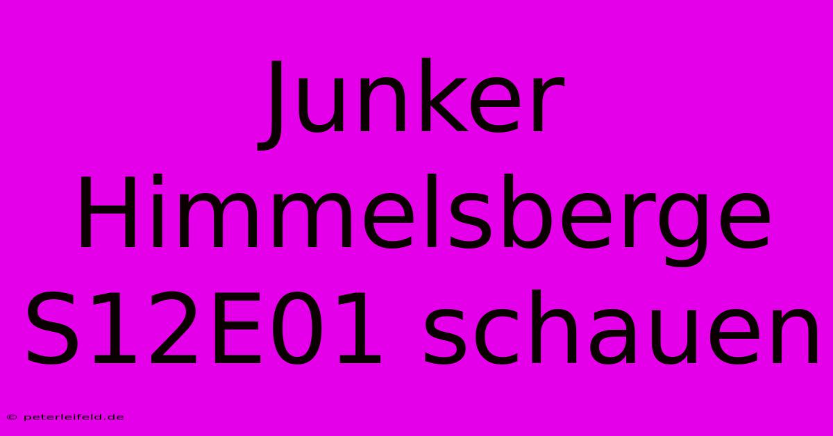 Junker Himmelsberge S12E01 Schauen