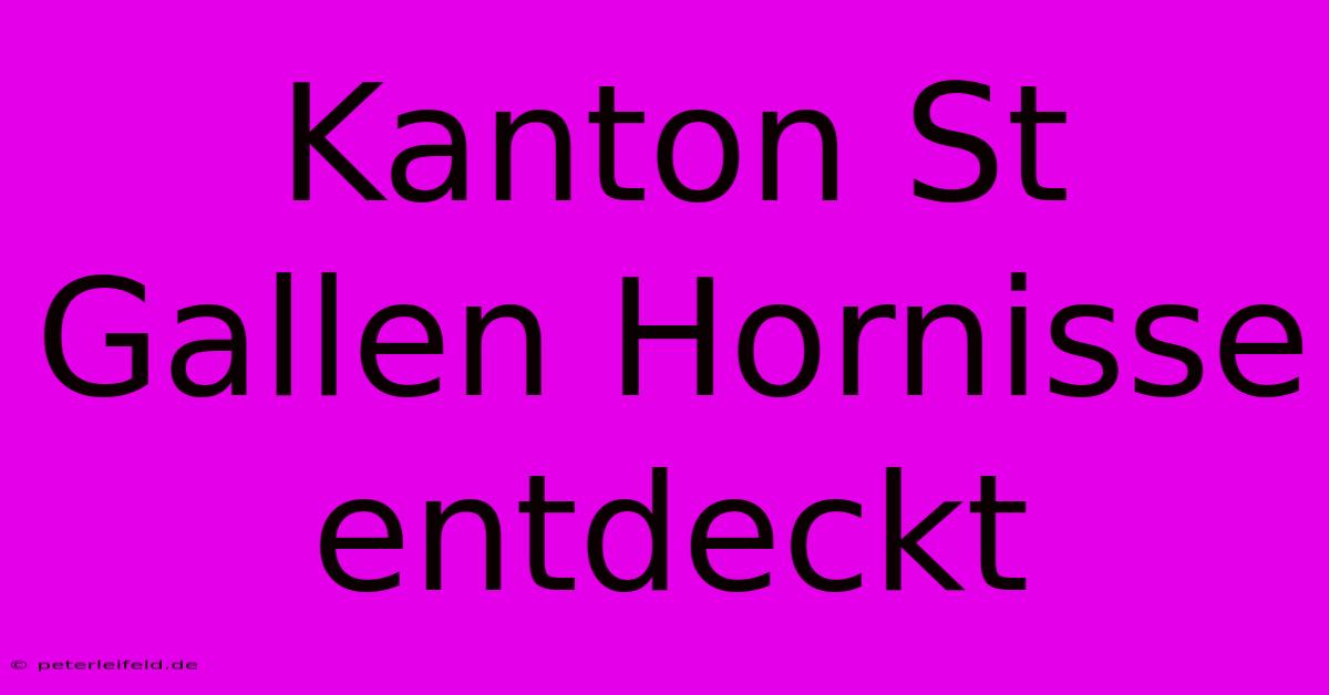 Kanton St Gallen Hornisse Entdeckt