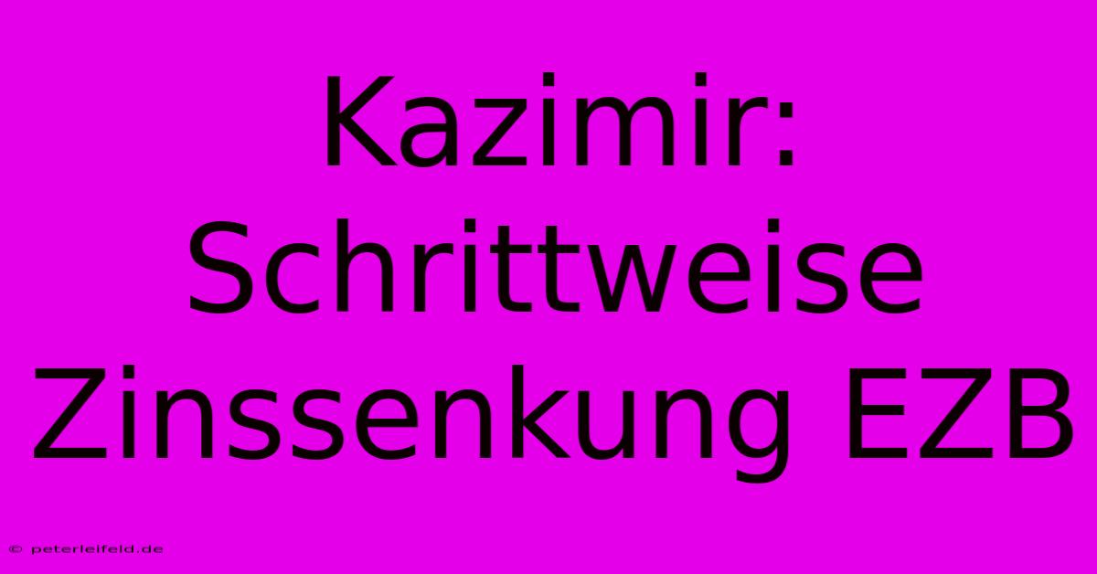 Kazimir: Schrittweise Zinssenkung EZB